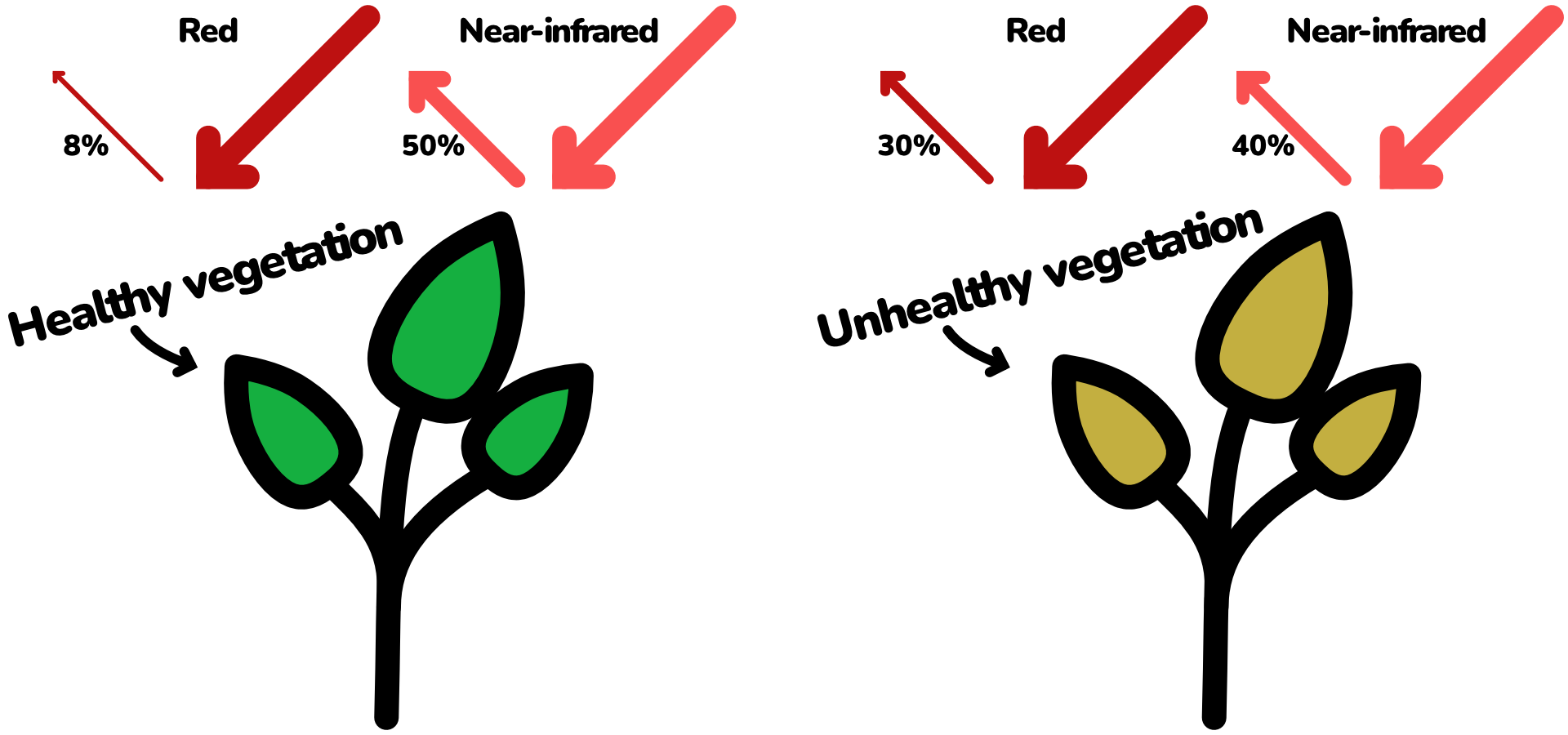 simplified illustration showing how NDVI works